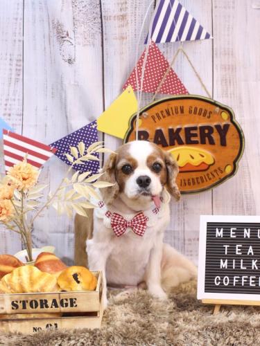 20240914ゲンキくん